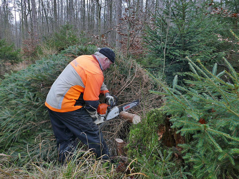 Es weihnachtet in St. Crescentius (Foto: Karl-Franz Thiede)